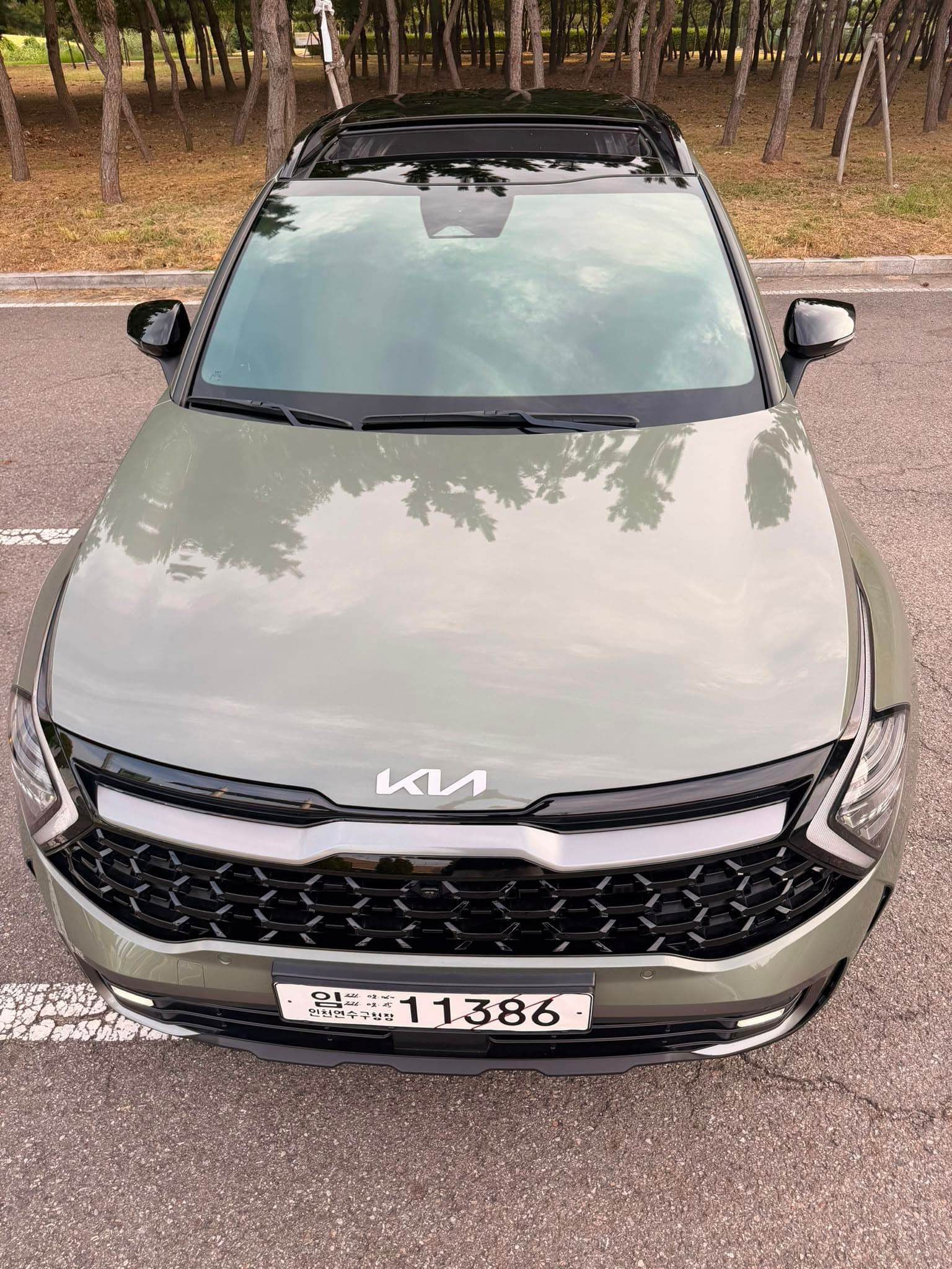 KIA SPORTAGE 2024