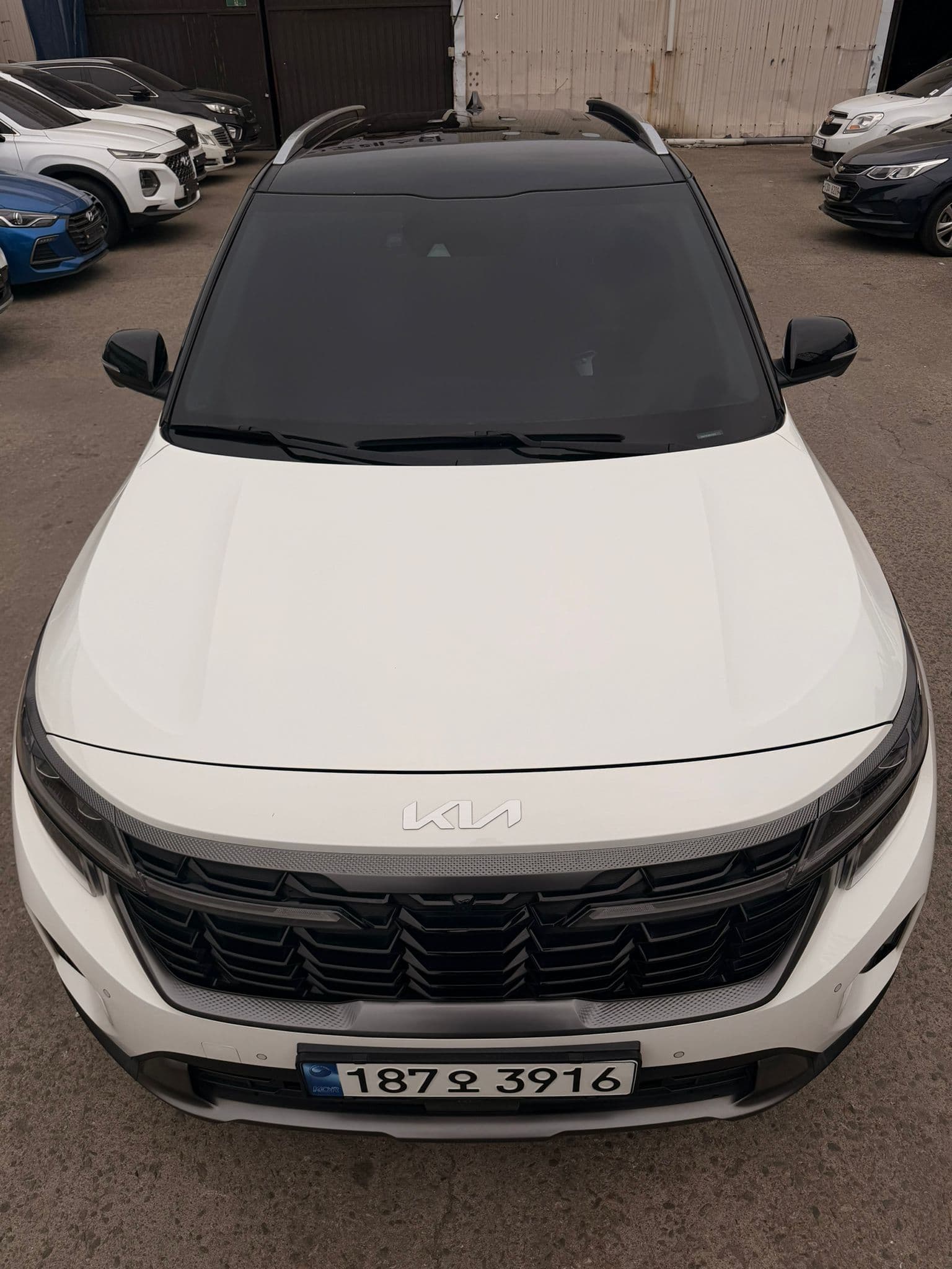 KIA SELTOS 2024