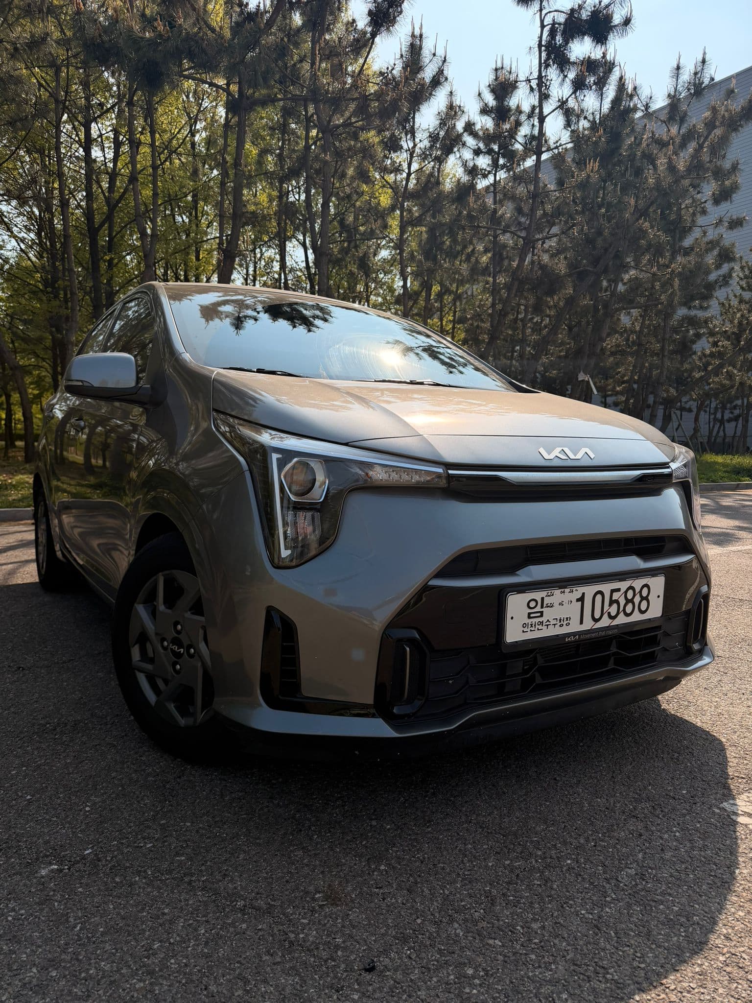KIA MORNING 2025