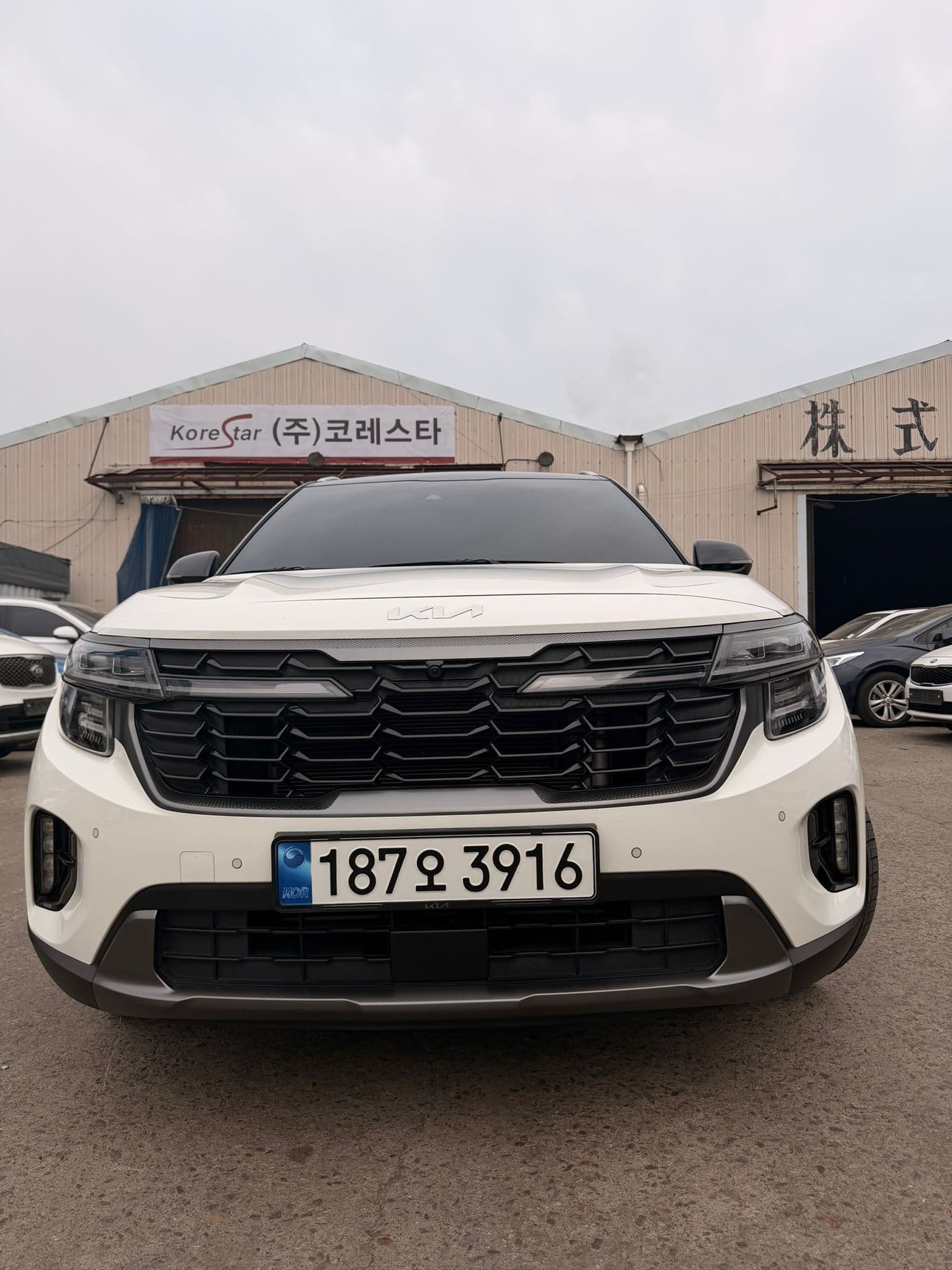 KIA SELTOS 2024