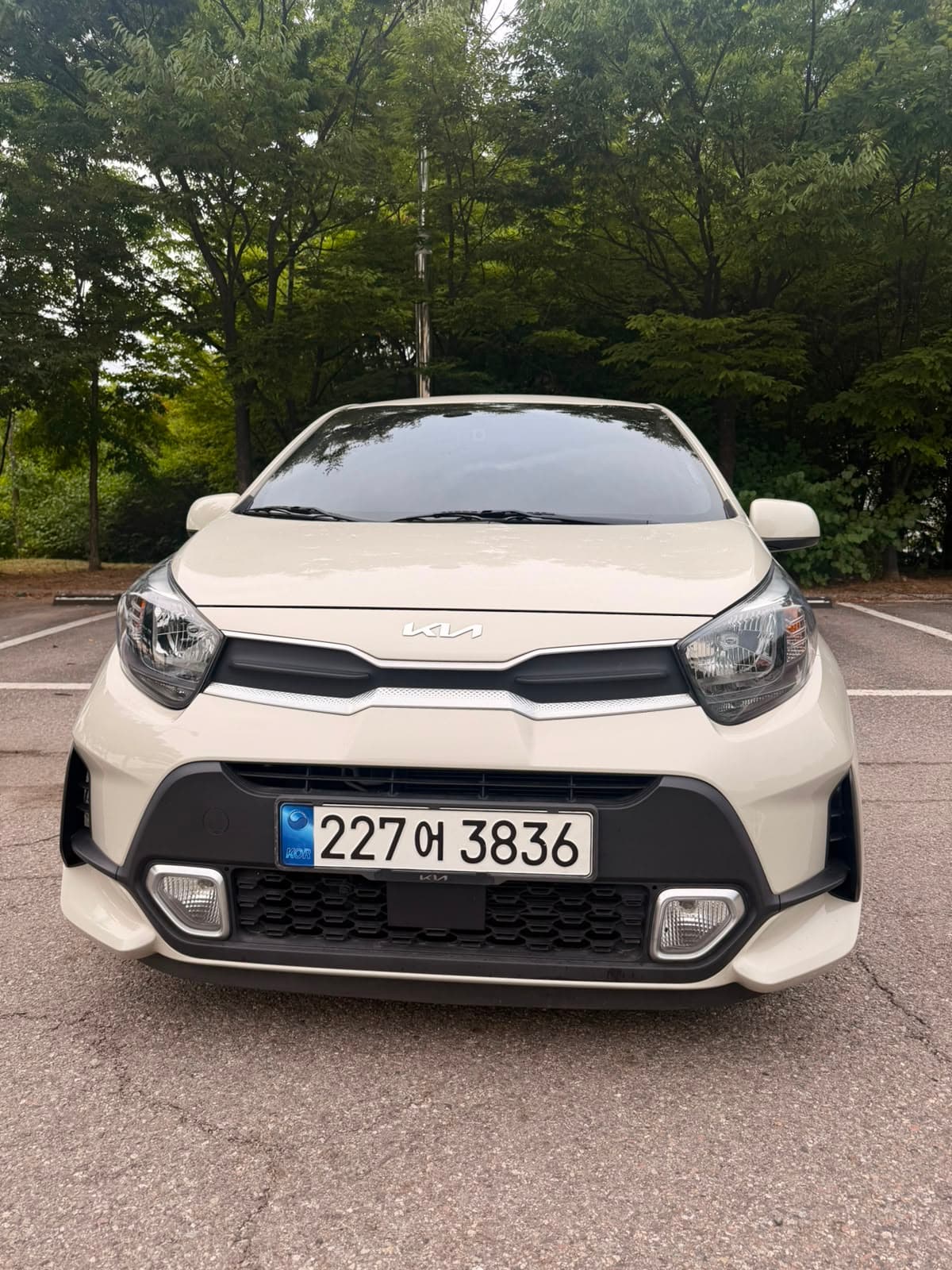 KIA MORNING 2023
