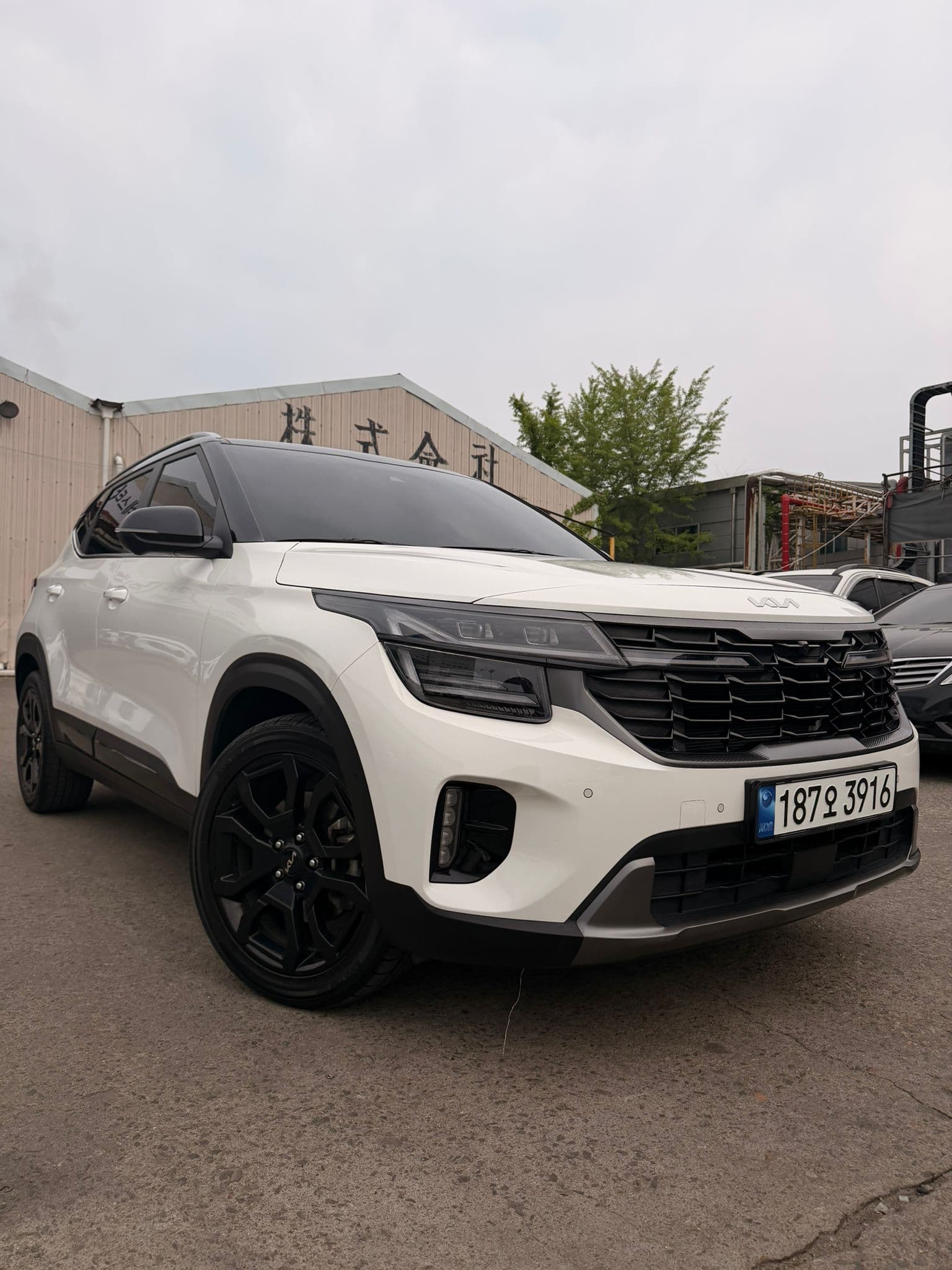 KIA SELTOS 2024